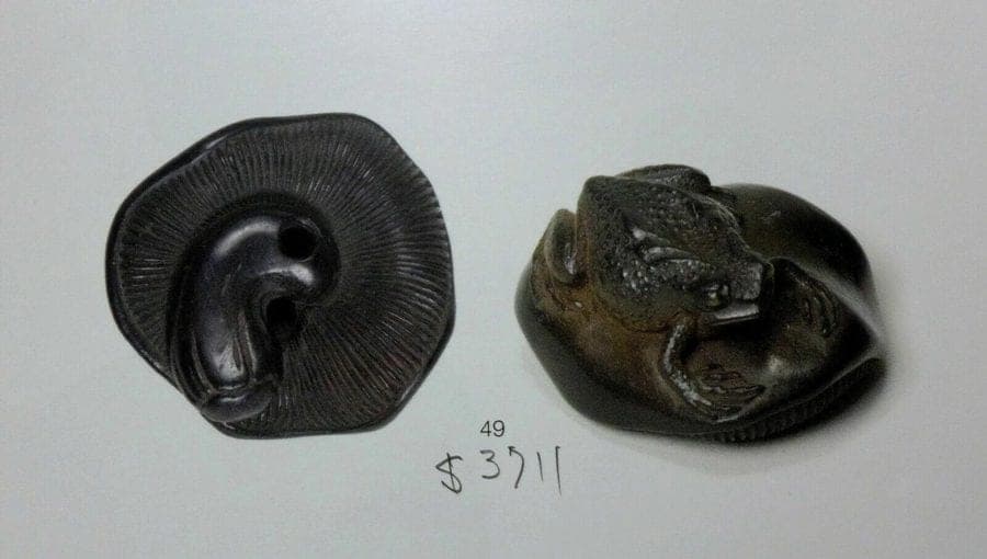 Early 19th C. Japanese Iwami Kurogaki Netsuke:  Lotus Seed Pod photo 7