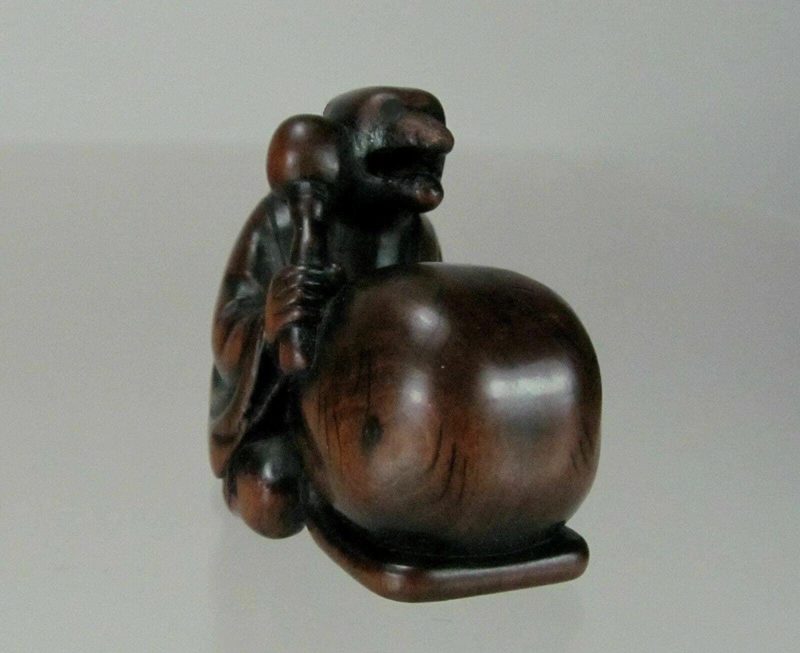 KOMEI, ISHIKAWA, 19th C Japanese Boxwood Netsuke: TANUKI NO HARA TSUZUMI photo 5