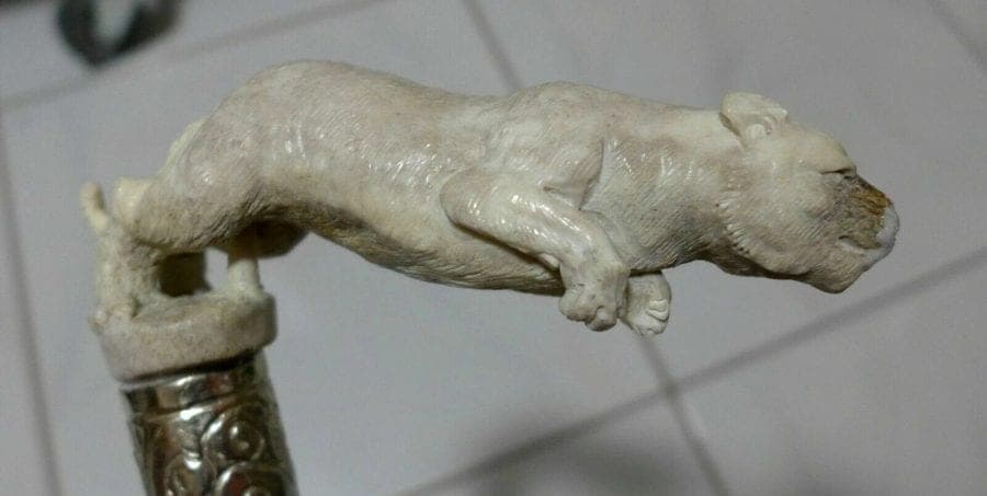 Carved Stag Antler PANTHER Handle Cane with Irish Blackthorn Shaft, 35.5 inches