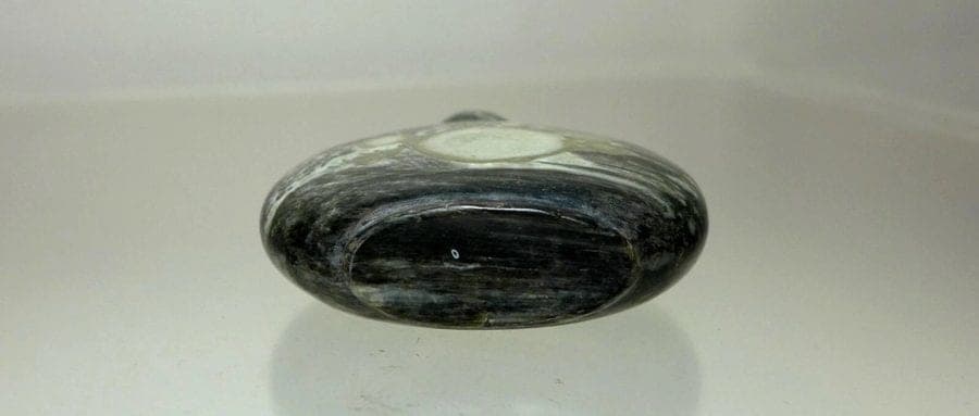 Very Unusual, Gray and Black Fossiliferous Limestone Snuff Bottle, 18/19 C. photo 6