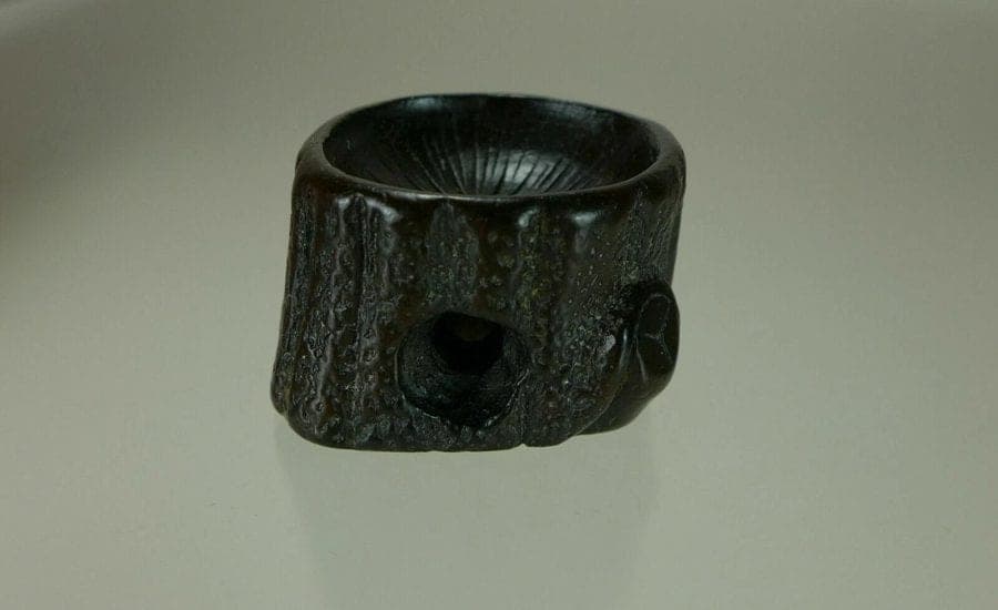 19th Century Japanese Iwami Ebony Netsuke:  Tree Stump photo 2