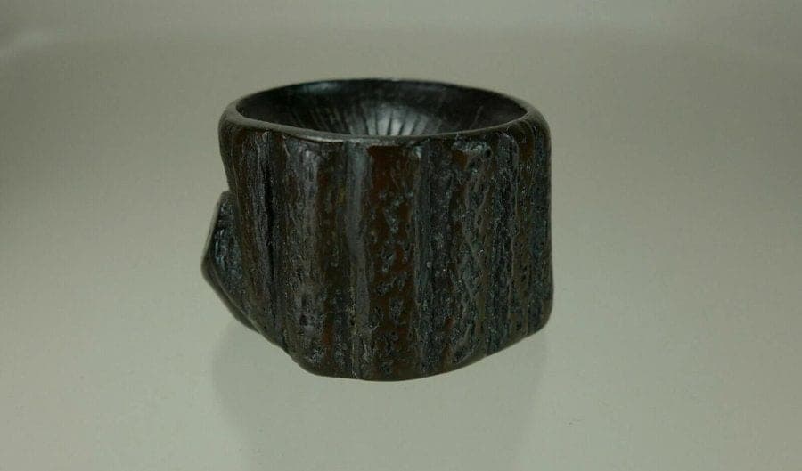 19th Century Japanese Iwami Ebony Netsuke:  Tree Stump photo 5