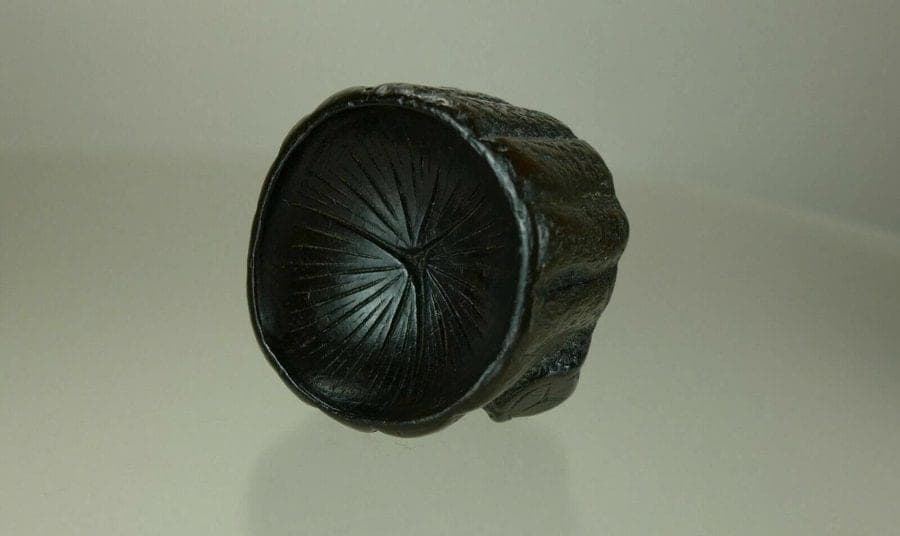 19th Century Japanese Iwami Ebony Netsuke:  Tree Stump photo 6
