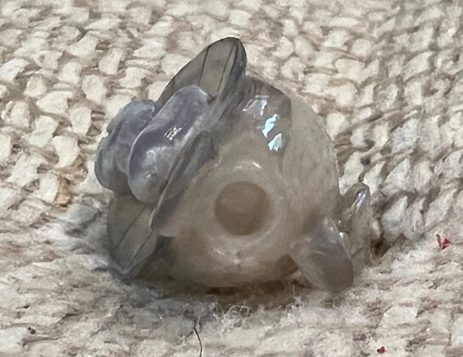 19th C. Rock Crystal Carved Snuff Bottle - Gourd, Leaves and Lady Bugs photo 6