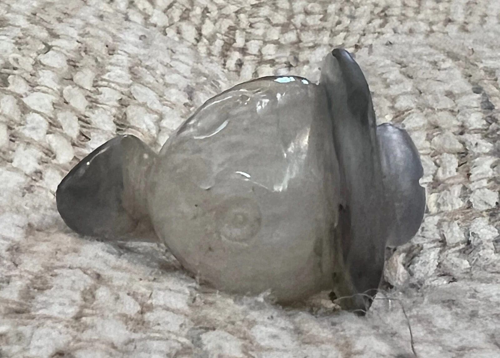 19th C. Rock Crystal Carved Snuff Bottle - Gourd, Leaves and Lady Bugs photo 7