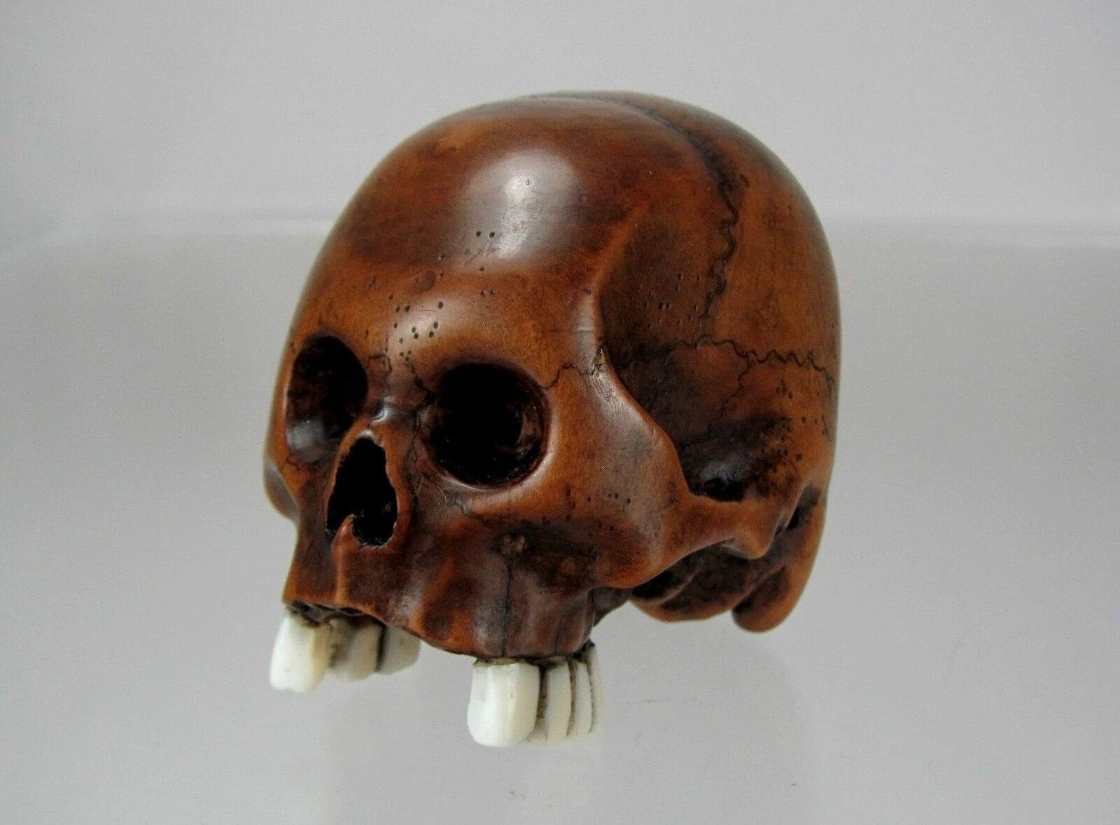 TOMOCHIKA, Edo School Boxwood Netsuke: Naturalistic Human Skull