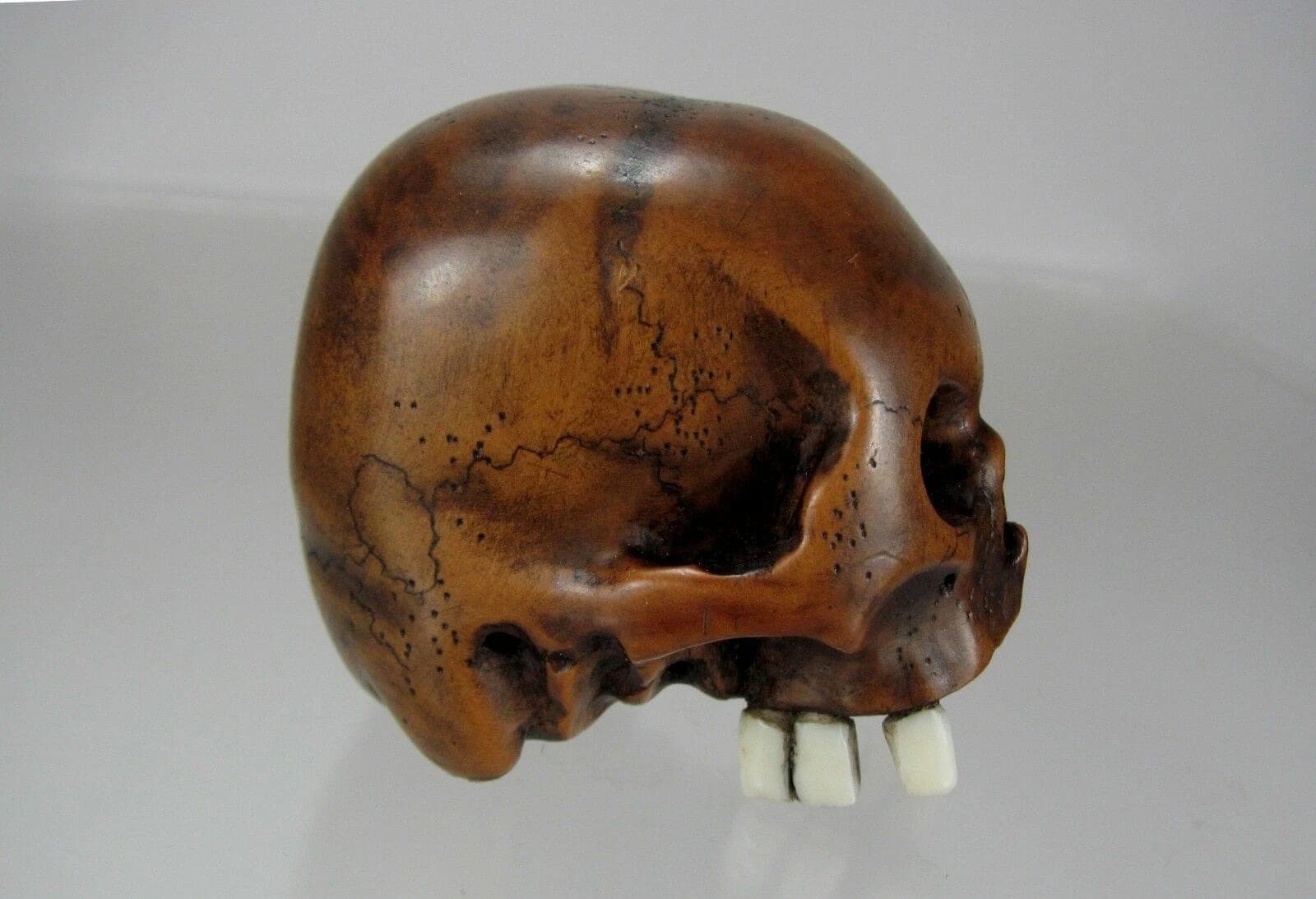 TOMOCHIKA, Edo School Boxwood Netsuke: Naturalistic Human Skull photo 6