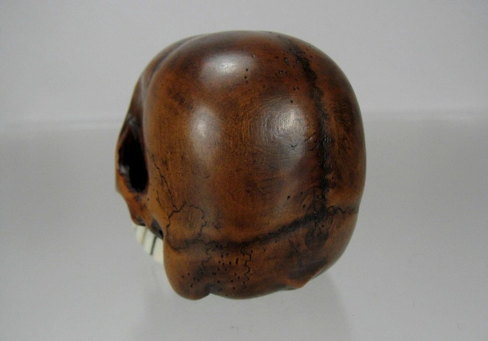 TOMOCHIKA, Edo School Boxwood Netsuke: Naturalistic Human Skull photo 7