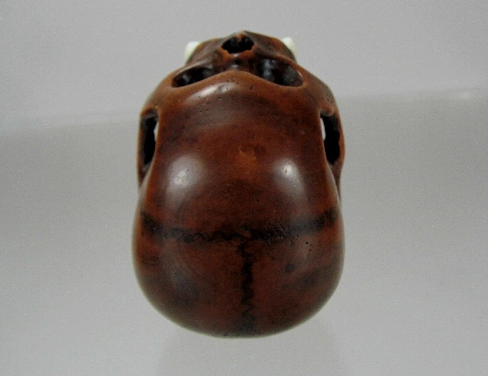 TOMOCHIKA, Edo School Boxwood Netsuke: Naturalistic Human Skull photo 8