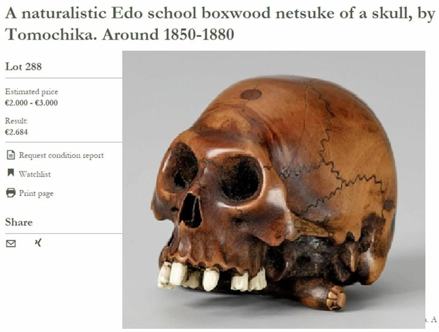 TOMOCHIKA, Edo School Boxwood Netsuke: Naturalistic Human Skull photo 9