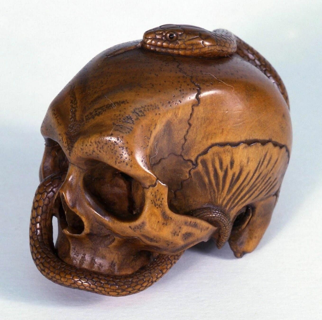 TOMOCHIKA, Edo School Boxwood Netsuke: Naturalistic Human Skull photo 10